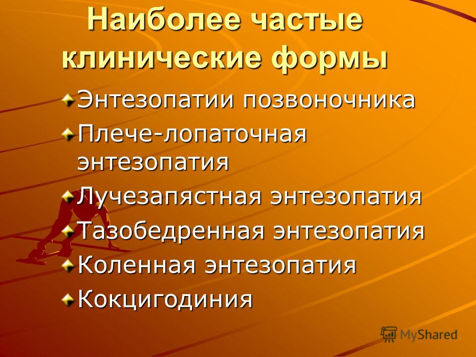 Тазобедренная позвоночника Тазобедренная позвоночника
