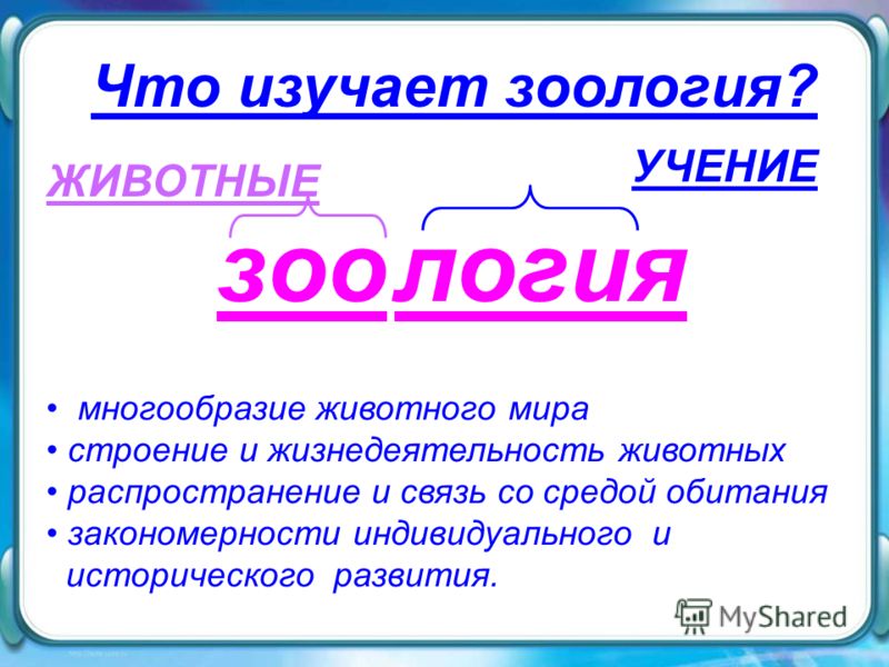 Викторина по сказкам для дошкольников