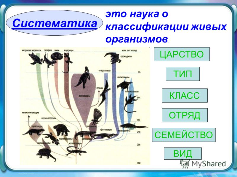 решебник по математике 10 класс латотин чеботаревский