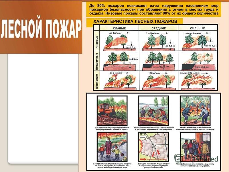 Презентация по ОБЖ 5 класс на тему "Погодные условия и безопасность человека"