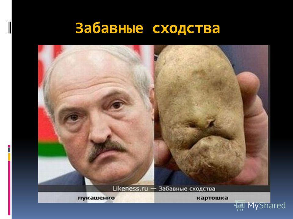 праздники и традиции беларуси презентация