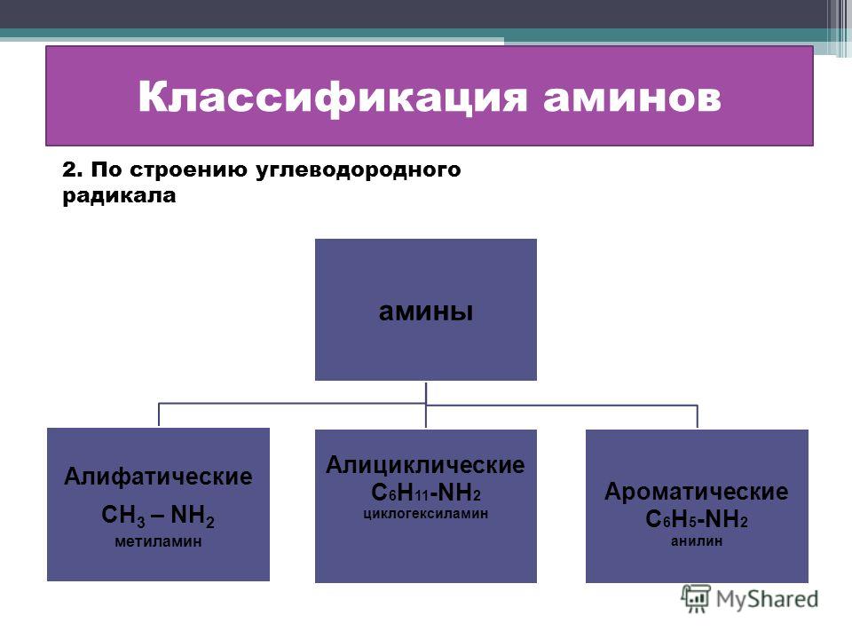 Презентация Анилин Химия 10 Класс Презентация Анилин Химия 10 Класс