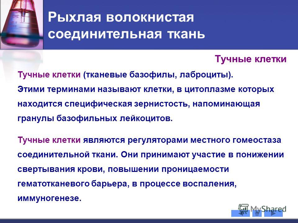 цитоплазме доклад о