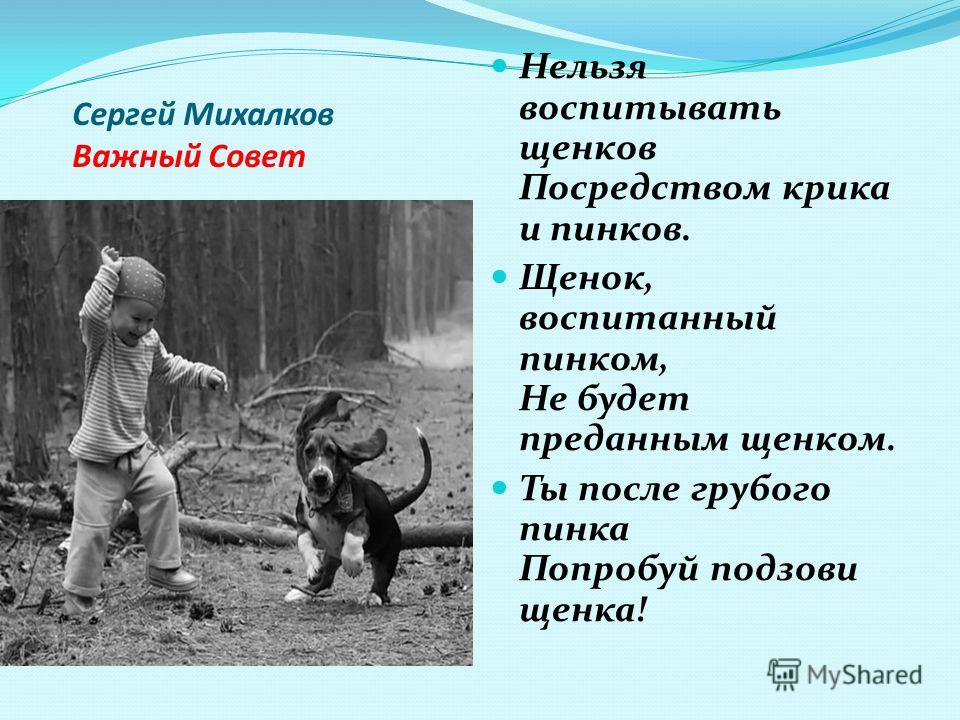 Цитата о жизни слова нет Цитата о жизни слова нет