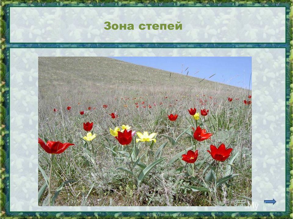 Тесты по биологии 8 класс с ответами