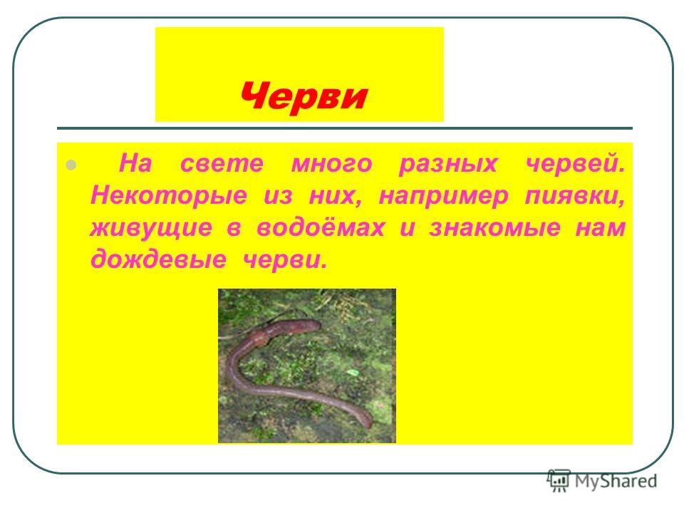 Загребельний роксолана читать