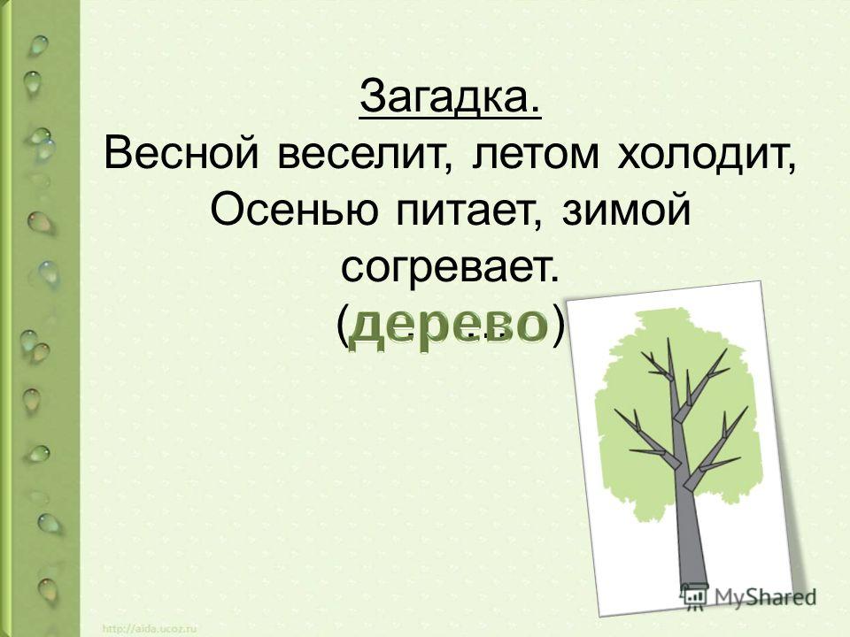 Зимняя рыбалка на животных