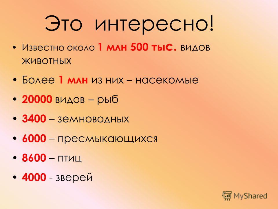 Это интересно известно около 1 млн 500 Это интересно известно около 1 млн 500