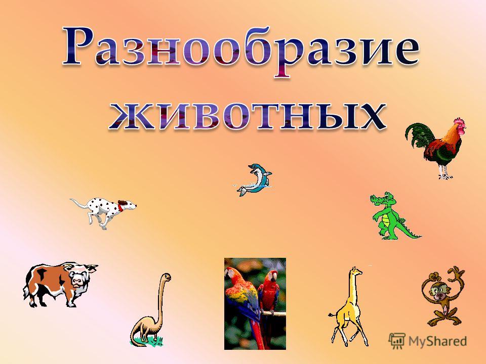 Слайд 5 Слайд 5