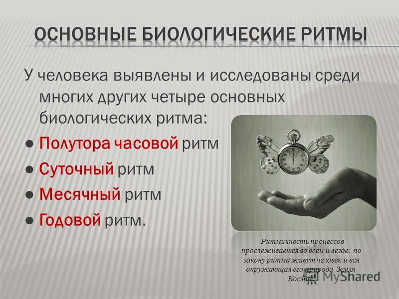 Биологические Ритмы И Сон Реферат Скачать Биологические Ритмы И Сон Реферат Скачать