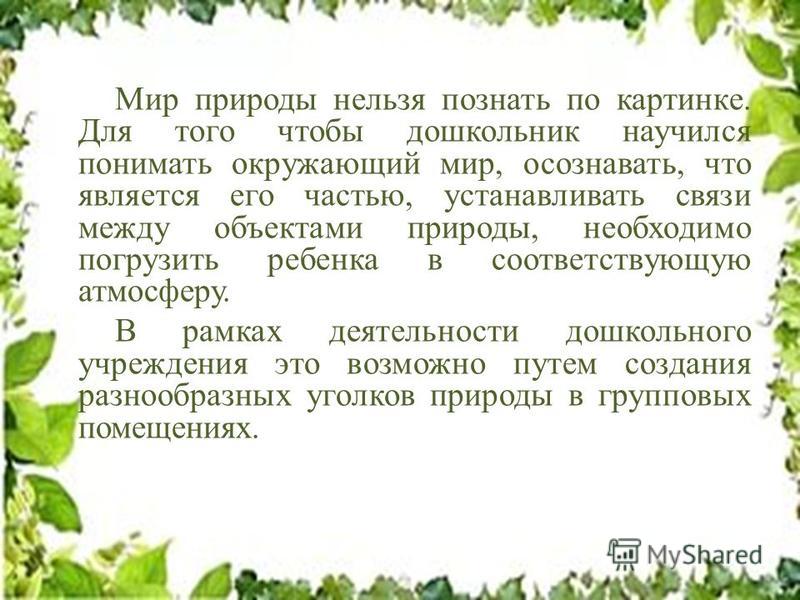 Когда сажать китайскую гвоздику семенами 39 Когда сажать китайскую гвоздику семенами 42