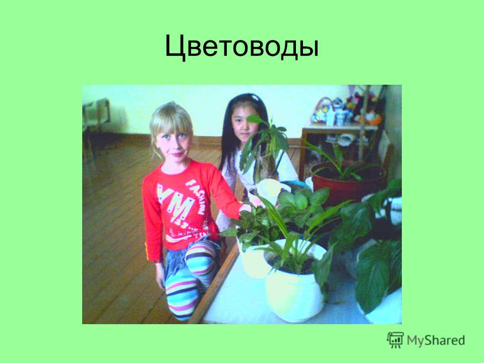 Начальная школа экологические праздники Начальная школа экологические праздники
