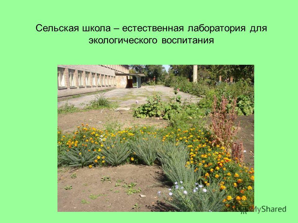 Конкурсы сочинений по экологии Конкурс школьных сочинений на тему экологии пройдет в