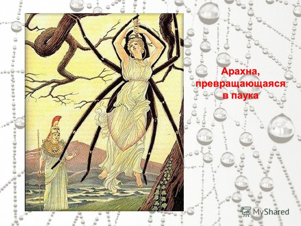 Как выглядят кондиломы на теле