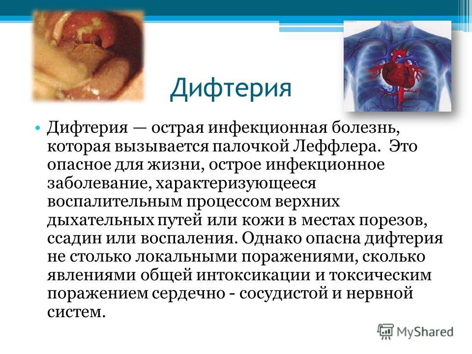 Одежда и обувь для кукол Монстр Хай своими руками Одежда и обувь для кукол Монстр Хай своими руками