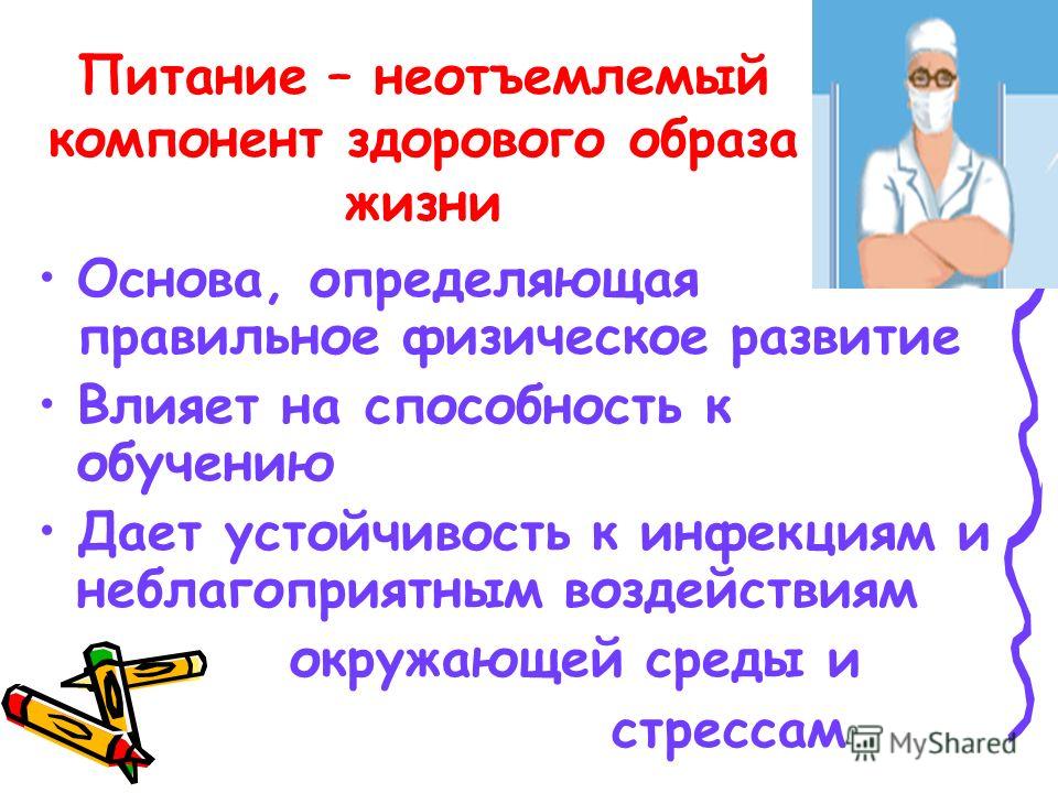 режим правильного питания для похудения режим правильного питания для похудения