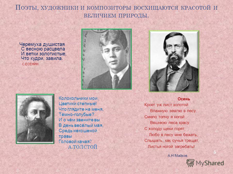 структура внутренних нормативных документах