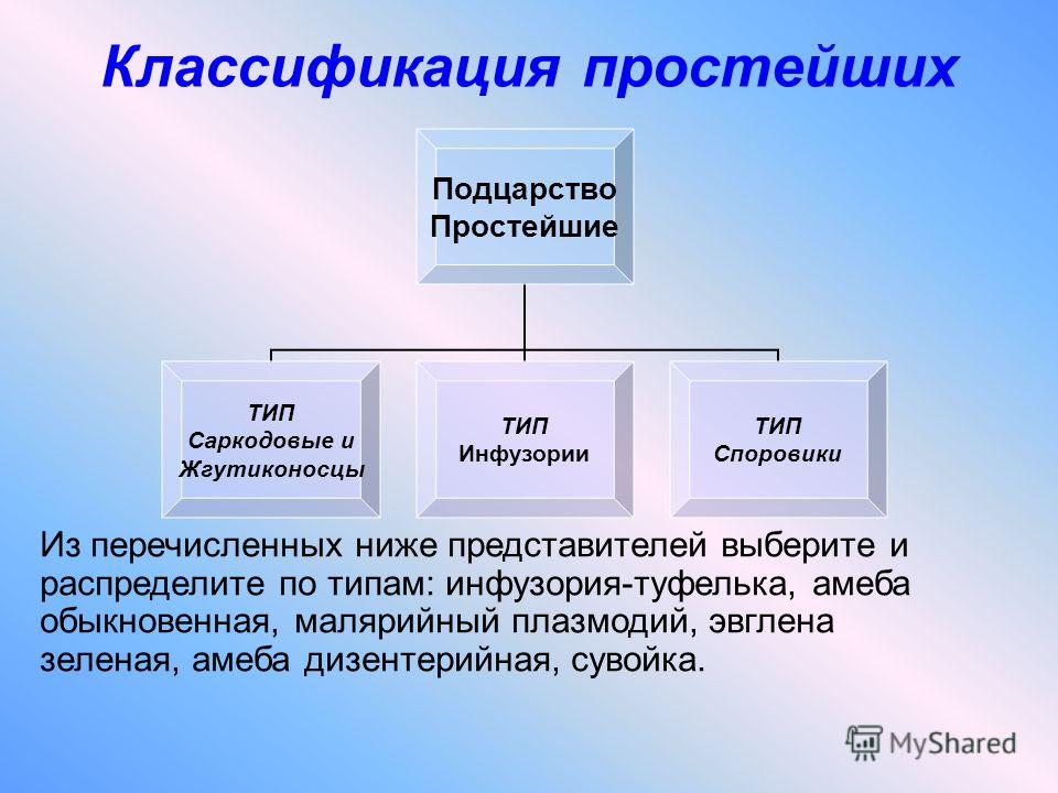 простейшие паразиты человека симптомы простейшие паразиты человека симптомы