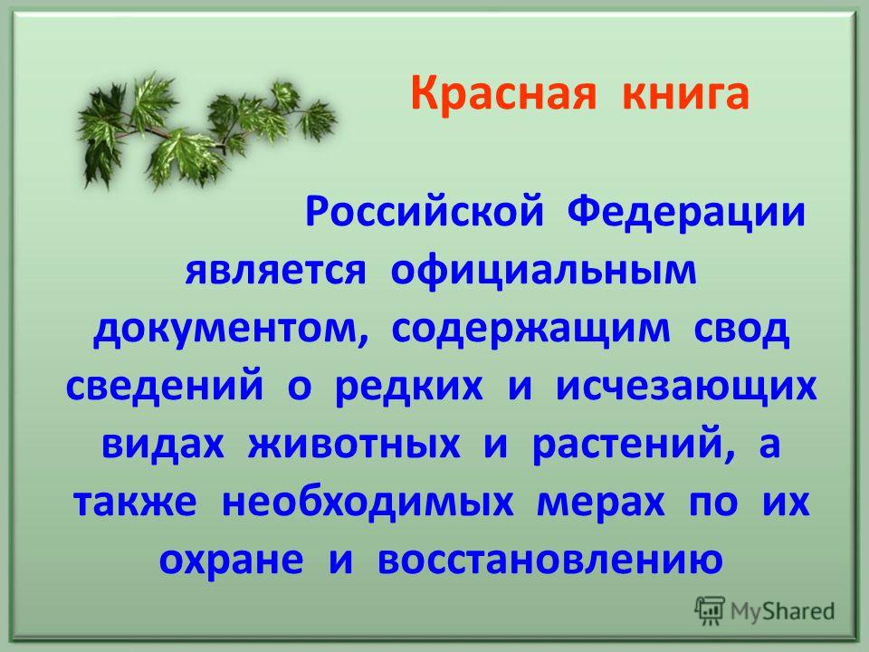 Реферат Животные Челябинской Области