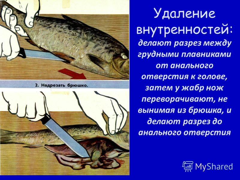 Ебля по черному с эрикой