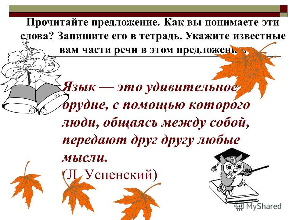 паразиты спине человека паразиты спине человека