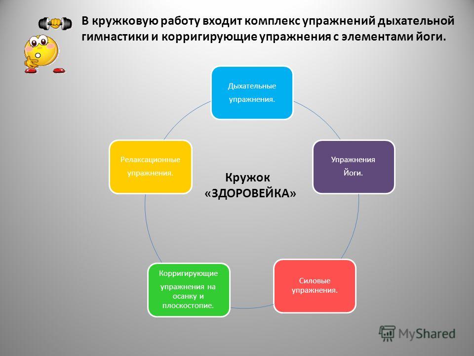 круговые тренировки для сжигания жира для женщин круговые тренировки для сжигания жира для женщин