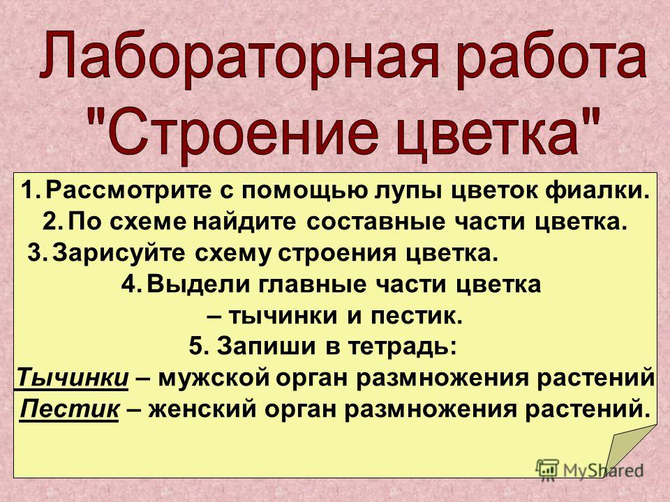 Восстановить отражатель на фаре своими руками фото 138