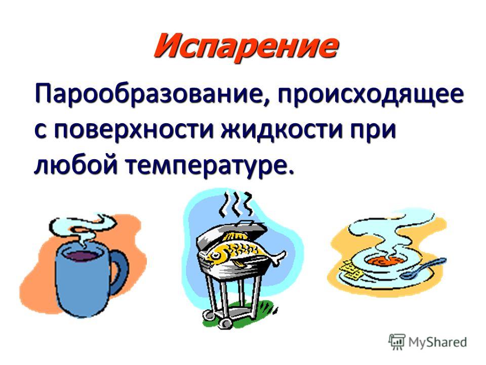 МУЖСКИЕ ГОРМОНЫ.ИНФО