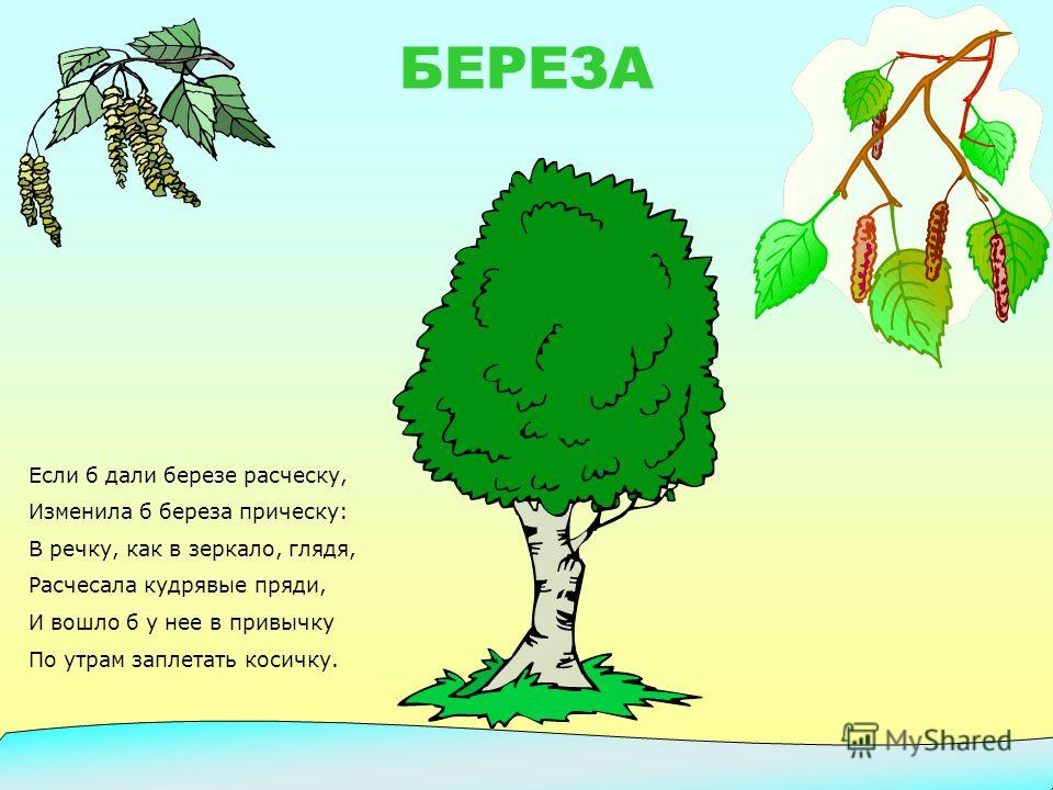 Как бросить пить пиво в домашних условиях
