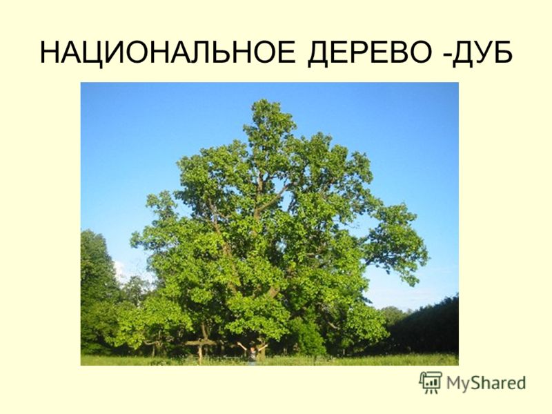 Сколько запекать курицу в духовке в горшочке