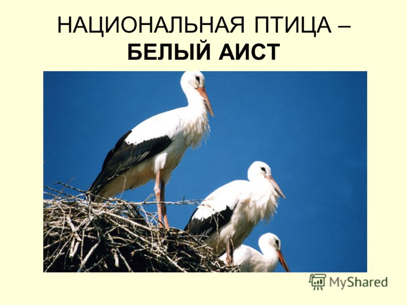 Как приготовить рыбу в фольге пошаговый рецепт
