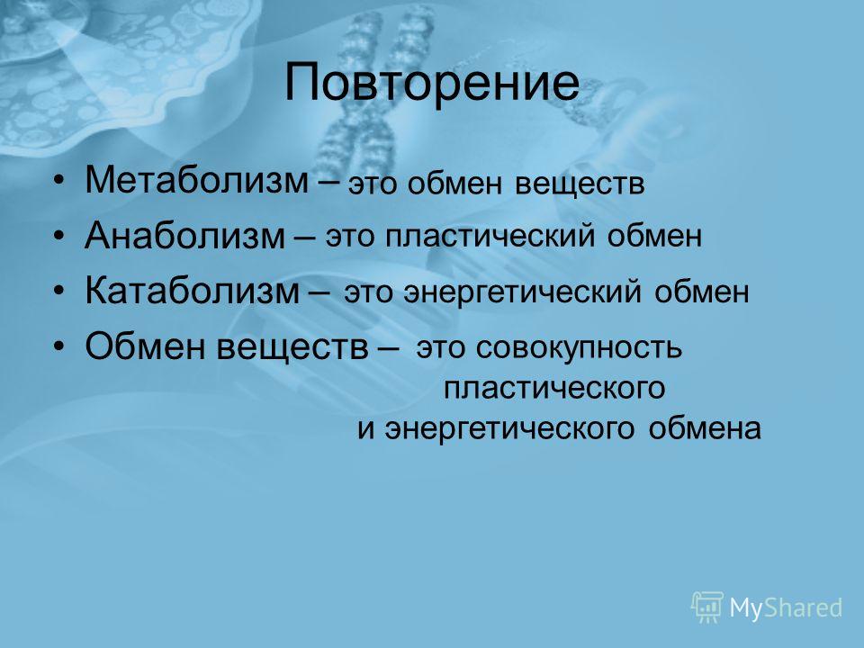 какие таблетки сжигают жиры отзывы какие таблетки сжигают жиры отзывы