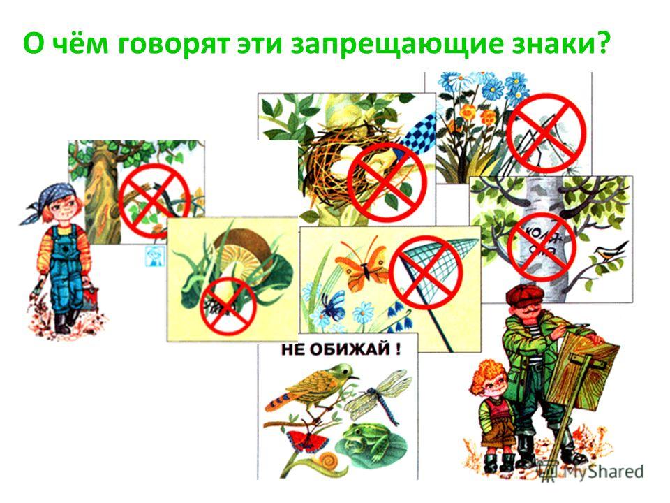 Картинки и раскраски охрана природы Картинки и раскраски охрана природы