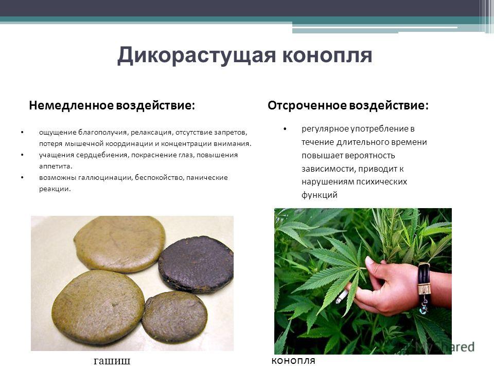 Название для статьи о конкурсе Название для статьи о конкурсе