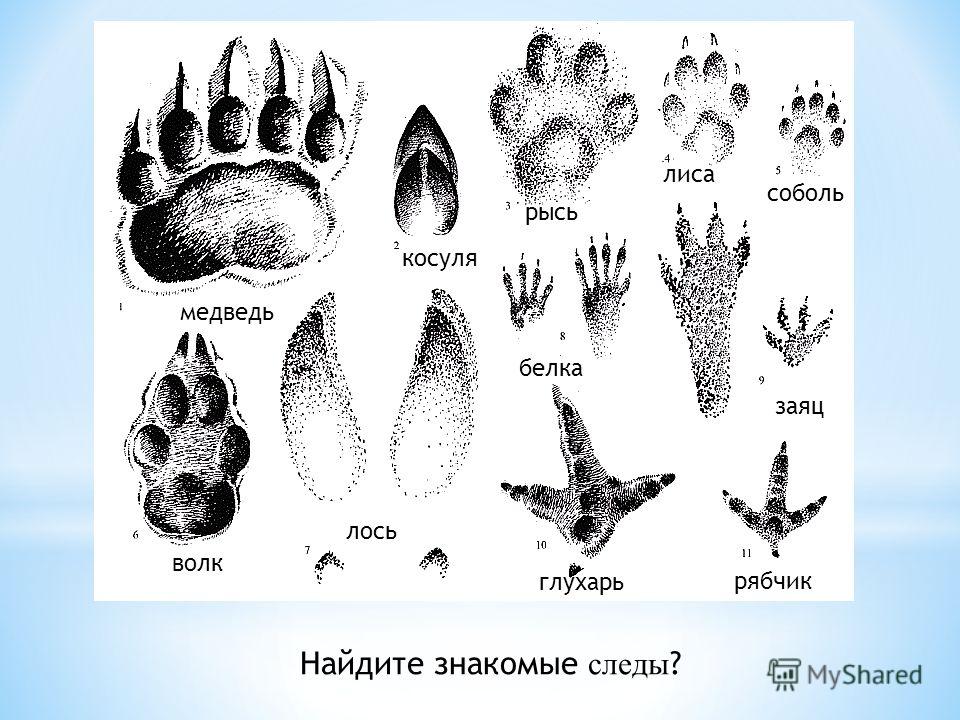 Колясочки для конкурса Мальчик-девочка : публикации и мастер Как связать зайца крючком из мотивов Зайка Тильда или почти Тильда)