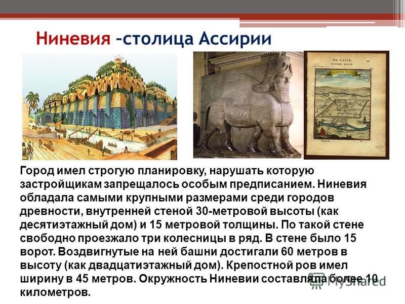 Ниневия –столица Ассирии Город имел строгую планировку, нарушать которую застройщикам запрещалось особым предписанием. Ниневия обладала самыми крупными размерами среди городов древности, внутренней стеной 30-метровой высоты (как десятиэтажный дом) и 