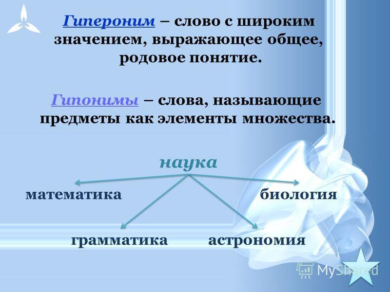 Гиперо гипонимическая группа пример