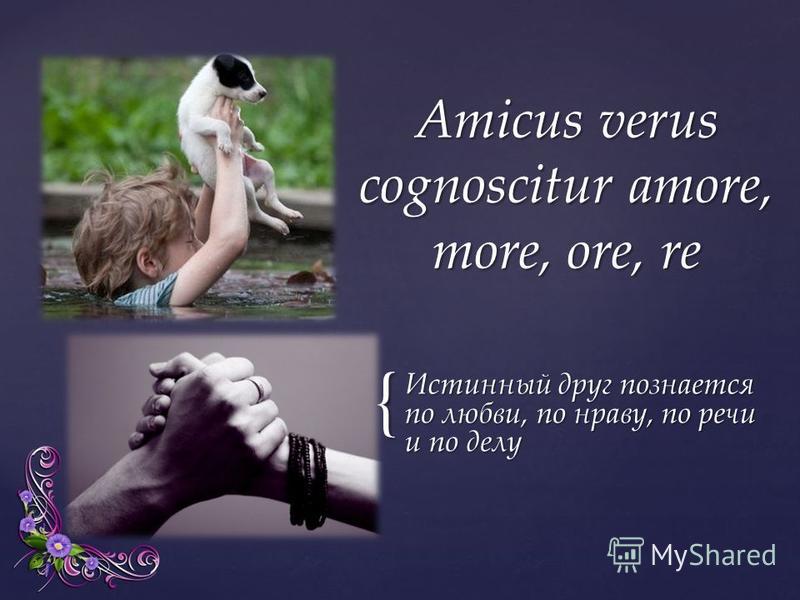 Истинный Друг