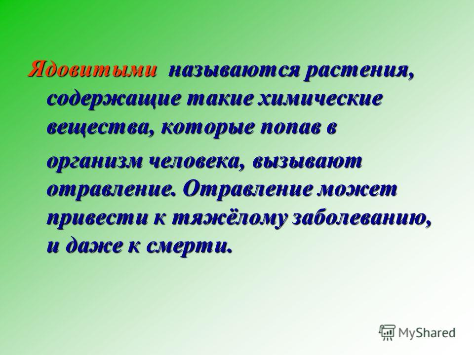 Органы растений генеративные: цветок, плод и семя. Как размножаются Цветок и соцветия, плоды и семена покрытосеменных - СПАДИЛО. РУ