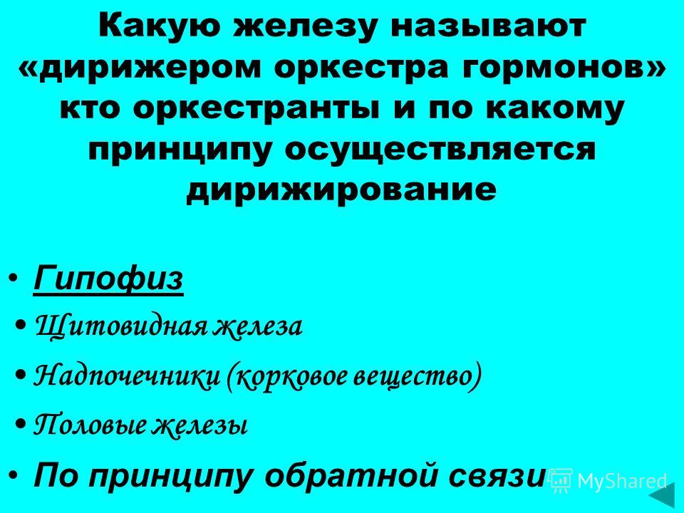 щитовидная железа запах изо рта щитовидная железа запах изо рта