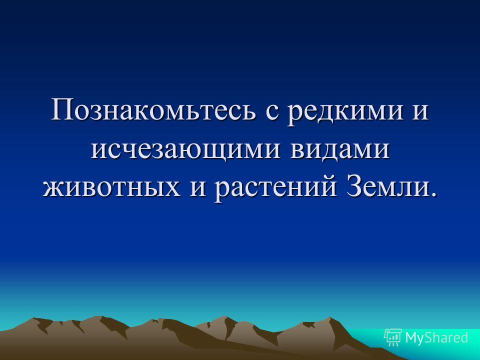 Растения в Красной книге России Презентация скачать