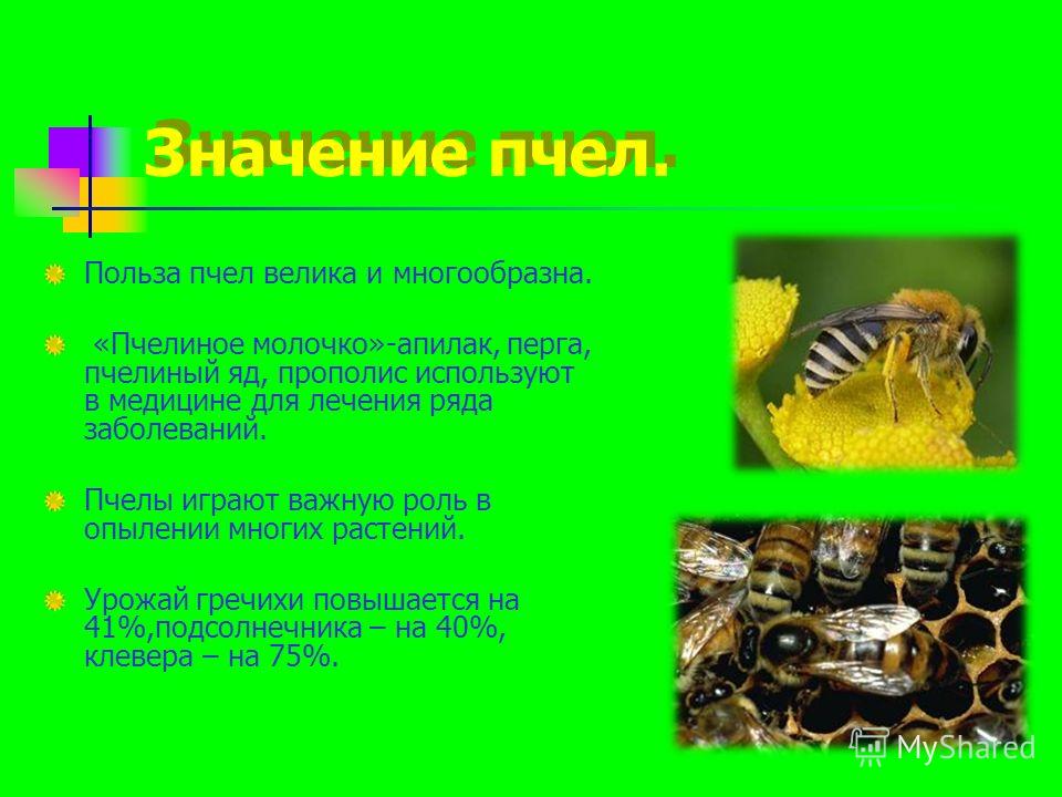 повышает ли мед холестерин повышает ли мед холестерин