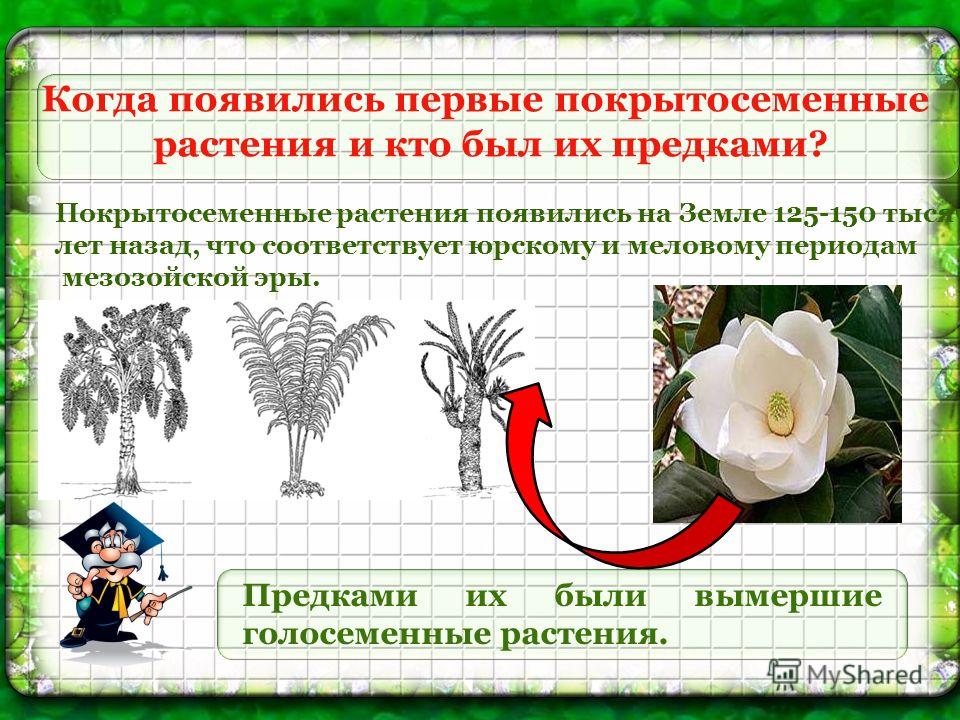 Литература для чтения детей 4 класса