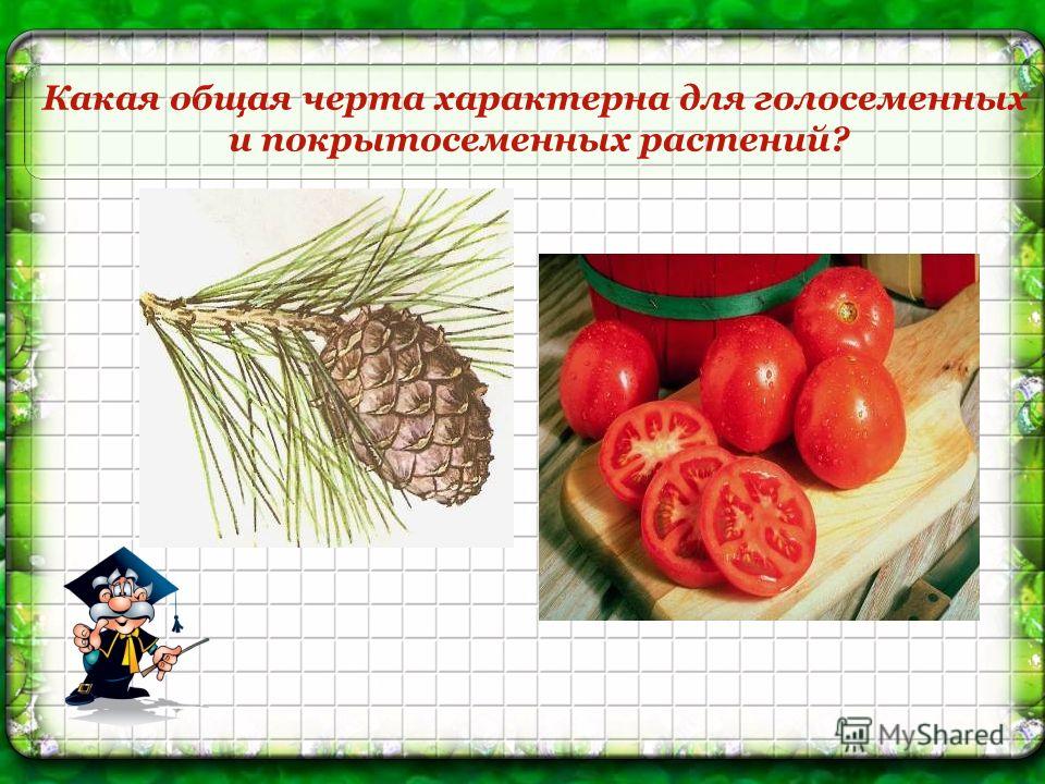 Обществознание планирование 6 класс