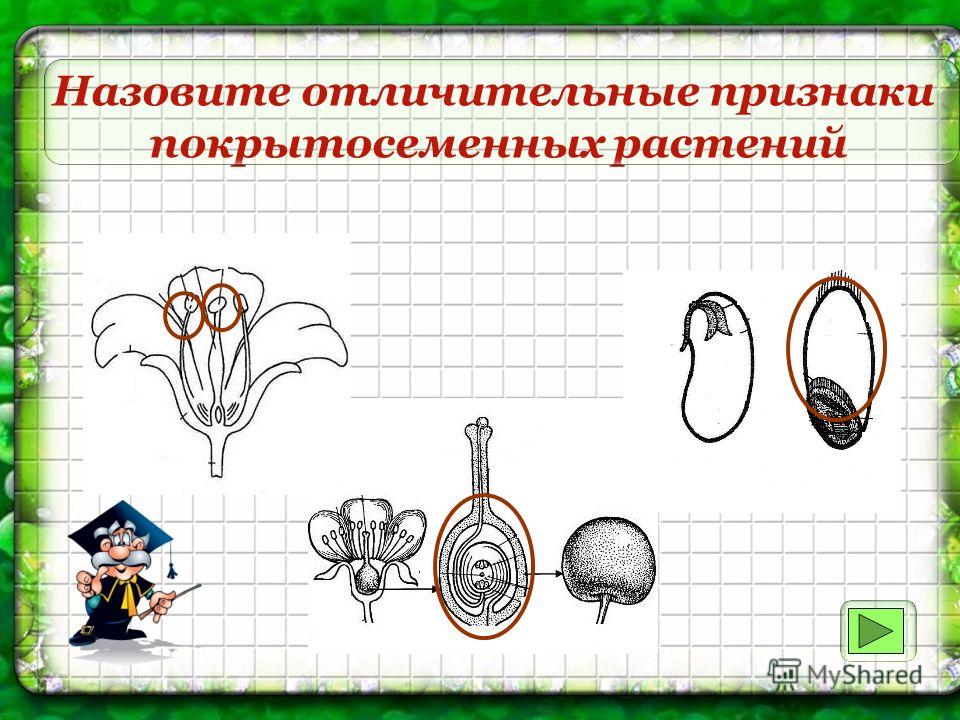 Афанасьева михеева решебник 11 класс