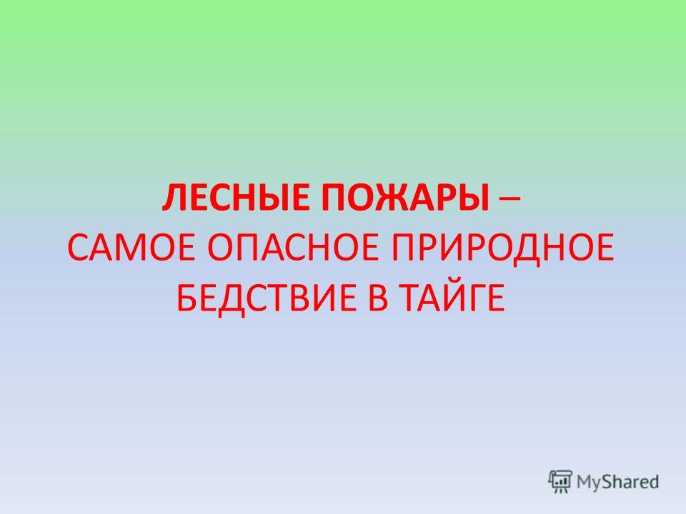 Программа 1 класса музыкальной школы