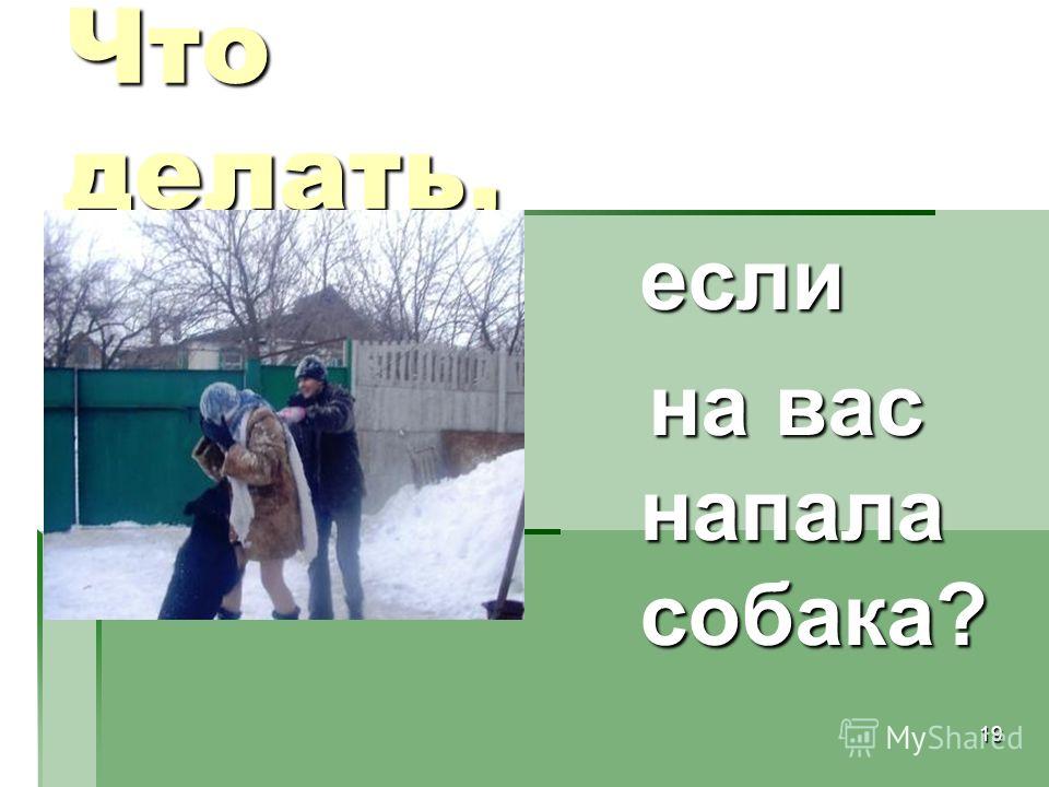Как сделать собаке миску Как сделать собаке миску