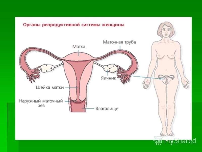 Индийская методика увеличения груди