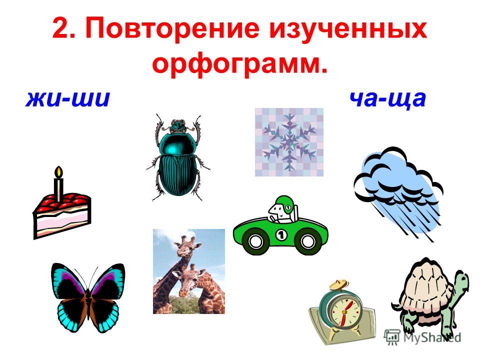 Детские научно практические работы младшего возраста: Последние новинки фильмов, музыки, игр, софта Программа краеведческого кружка по истории волгоградской области