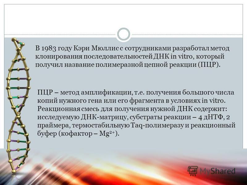 Как узнать puk код для мтс Как узнать puk код для мтс